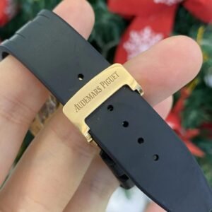 Alternative view of Audemars Piguet_177