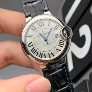 Alternative view of Cartier_104