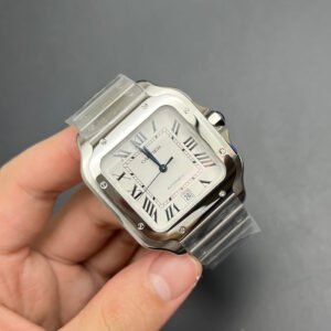 Alternative view of Cartier_113