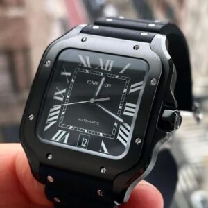 Alternative view of Cartier_139