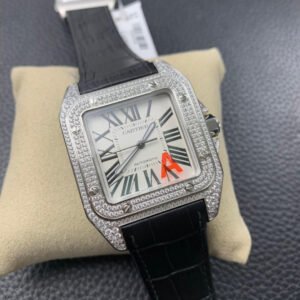 Alternative view of Cartier_58
