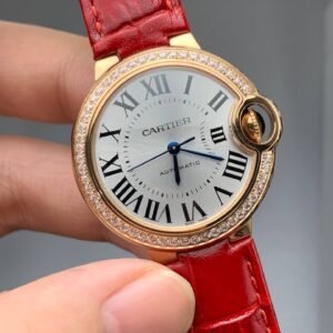 Alternative view of Cartier_85