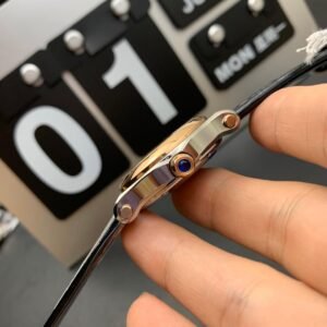 Alternative view of Chopard_31