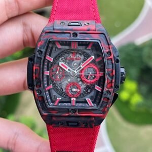Alternative view of HUBLOT_2