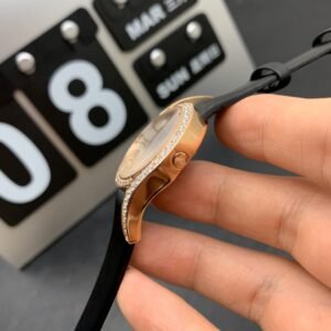 Alternative view of Piaget_10