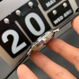 Alternative view of Piaget_21