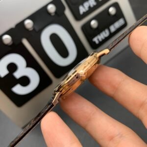 Alternative view of Piaget_8