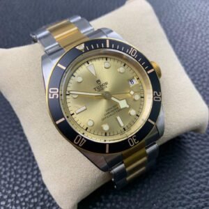 Alternative view of Tudor_15