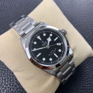Alternative view of Tudor_16
