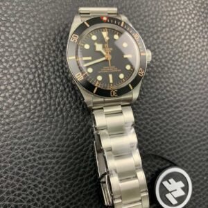 Alternative view of Tudor_1