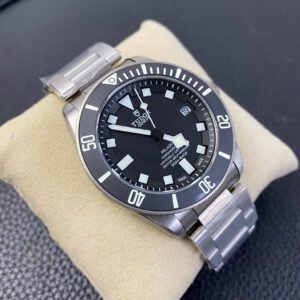 Alternative view of Tudor_28