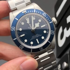 Alternative view of Tudor_38