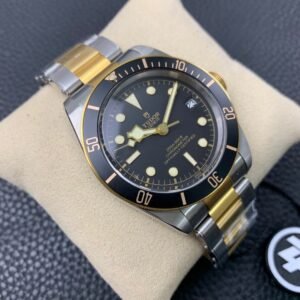 Alternative view of Tudor_9