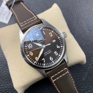 Alternative view of iwc_77